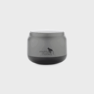 RCS gerecycled beatbuddy 3W speaker